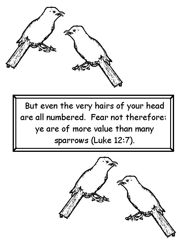 Luke 12:7 Coloring Page