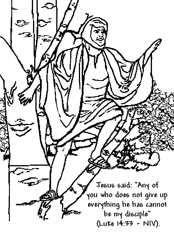 zacchaeus bible story coloring pages - photo #31