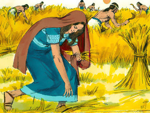 Each day Ruth went out to the fields and gleaned the extra wheat barley and other grains from Boaz fields