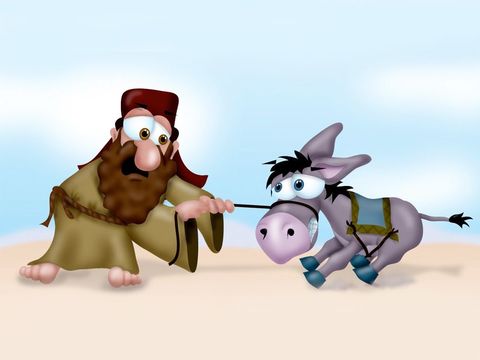They did not get very far before Balaam's donkey suddenly started to act weird