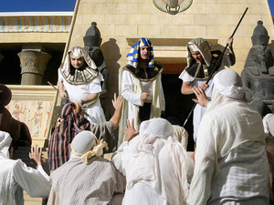 When it was their turn all ten of them stepped up and bowed down to Joseph
