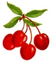 cherries