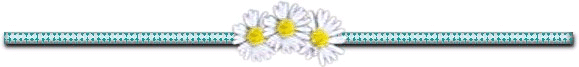 daisy divider