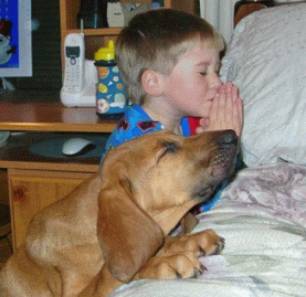 Dog and boy praying beside bed