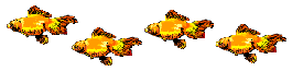 gold fish divider