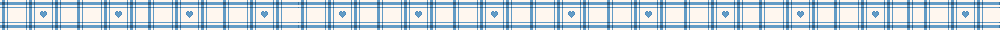 blue checkered divider line
