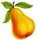 pear