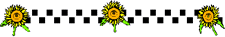 sunflower divider